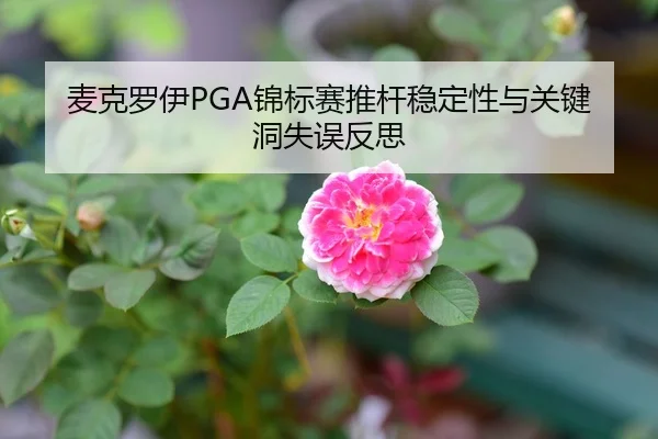 麦克罗伊PGA锦标赛推杆稳定性与关键洞失误反思
